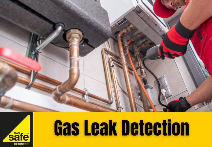 gas leak detection Sandwich